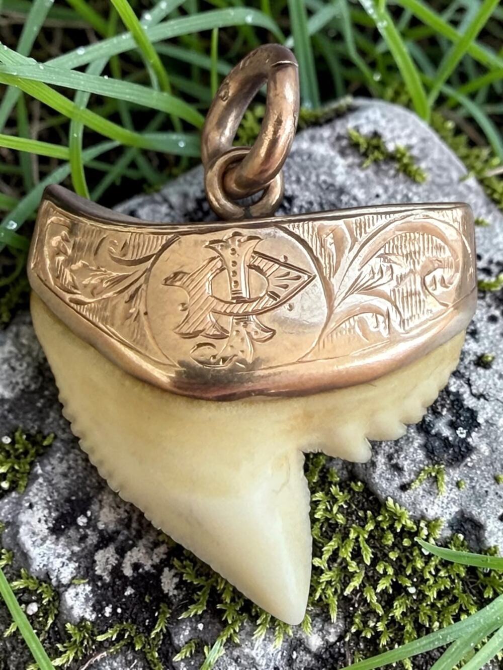 Vintage 9ct Gold Shark Tooth Pendant - Picture 3 of 7